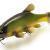 Quantum Esche Freak of Nature Swimbait Tench