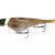 Headbanger Lures Esche Headbanger Shad 22cm