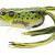 LiveTarget Hollow Body Frog Popper