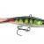 Rapala Esche Jigging Shadow Rap