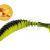 Quantum Esche Magic Trout T-Worm Paddler