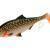 Mikado MFT Roach 12cm