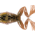 LiveTarget Freestyle Frog 2.0
