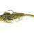 Westin Gunnar The Goby R2F