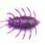 FishUp Maybug
