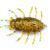 FishUp Maybug