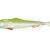 Qubi Lures Sardine Shad