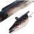 Westin Esche Sandy Andy Jig Bulk