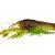 Savage Gear Esche Siliconiche NED Craw