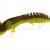 Savage Gear Esche Siliconiche NED Salamander