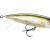 Rapala Precision Xtreme Pencil Saltwater