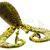 Westin Esche RingCraw CurlTail