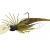 Savage Gear Esche Crazy Swim Jigs