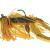 Westin Slide Up Rubber Jig Tungsten