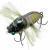 Tiemco Esche Soft Shell Tiny Cicada