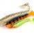 FOX Rage Esche Spikey Shads Bulk