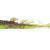 X Zone Lures Stealth Invader 3”