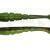 X Zone Lures Swammer 2.75"