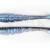 X Zone Lures Swammer 3.5"