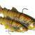Westin Tommy the Trout Multi Jointed R2F