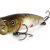 Zipbaits Esche dure ZBL Popper Tiny