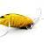 Imago Lures Esche Great diving beetle