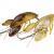 Wob-Art Esche Crayfish