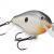 Rapala Esche dure Scatter Rap Crank