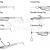 Keitech Shad Impact 2 inch