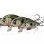 Savage Gear Esche 3D Sticklebait Twitch