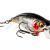 Westin Esche BuzzBite SR Crankbait