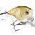 Rapala Esche Crankbait BX Brat