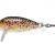 Rapala Esche CountDown 2.5cm e 3cm