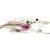 Adam's Esche Deep Shad F DR