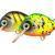 HMG Lures Esche Droop Killer Float