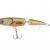 Dorado Esox Jointed