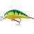 Mikado Fishunter Cavalier