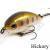 Zipbaits Hickory SR