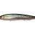 Megabass Kanata SW