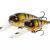 Westin MegaBite DR Crankbait