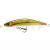 Goldy Esche Otter
