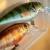 Salmo Rattlin’ Executor SDR