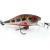 Adam's Esche Shad 34 F MR