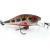 Adam's Esche Shad 34 F MR