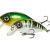 Lucky John Esche dure Shad Craft