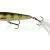 Westin Spot-On Popper