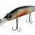 Jenzi T-Rex Minnow 110 MR