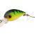 SPRO Esche Trout Master Wobbla