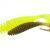 Perch'ik Esche siliconiche Worm Tail