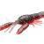 Savage Gear 3D Crayfish Kit